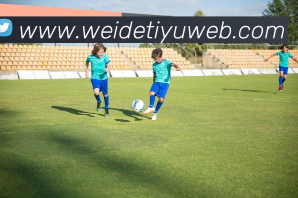 伟德体育APP 封面图